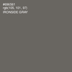 #696561 - Ironside Gray Color Image